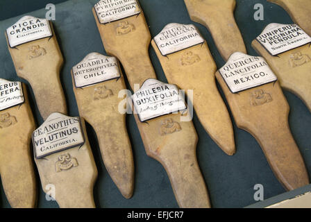 National Museum of Gardening, Trevarno Estate, Cornwall, UK Stockfoto