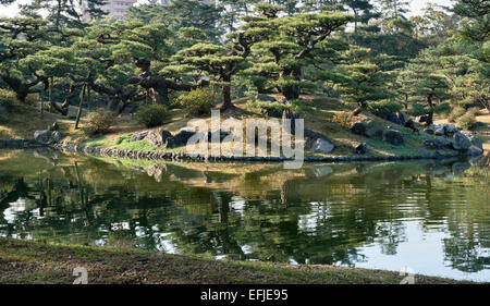 Ritsurin-Koen Garten, Takamatsu, Japan. Schwarzen Pinien in Byobu-Matsu Form beschnitten Stockfoto