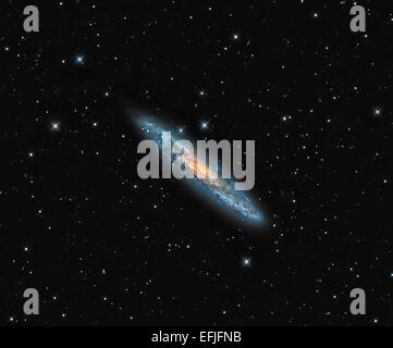NGC 253, der Bildhauer-Galaxie. Stockfoto