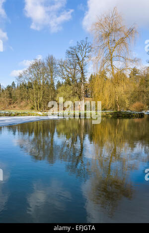 Prag, Pruhonice - Schloss Weide Winter Parkblick. Schloss Pruhonice ist beliebtesten Touristenort mit dendrologischen Stockfoto