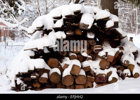 Protokolle unter Schnee Stockfoto