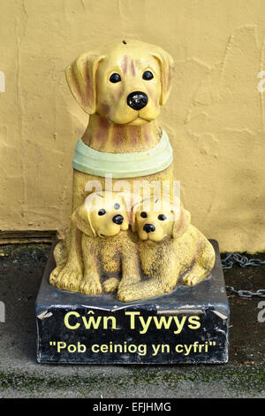 Eine Sammelbox für Cwn Tywys Gwynedd, eine Spendengruppe für die Guide Dogs Association in Nordwales, Großbritannien Stockfoto