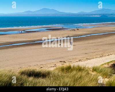 Sanddünen am Strand von Harlech in Gwynedd Snowdonia North Wales UK mit sichtbaren Berge in der Ferne unter blauem Himmel Stockfoto