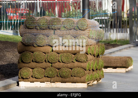 Rollen der Rasen Rasen auf einer Palette in London Stockfoto