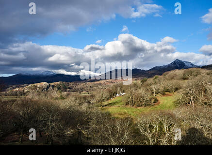 Blick auf einen schneebedeckten Yr Wyddfa (Mount Snowdon) vom Plas Brondanw Anwesen in der Nähe von Portmeirion im Eryri (Snowdonia) Nationalpark, Nordwales, Großbritannien Stockfoto