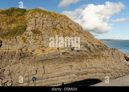 Blick vom Stackpole Quay, Pembrokeshire, Wales zeigt Gesteinsschichten an gegenüberliegenden Landzunge Stockfoto