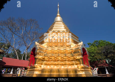 Horizontale Ansicht des goldenen Chedi im Wat Phan ein in Chiang Mai. Stockfoto