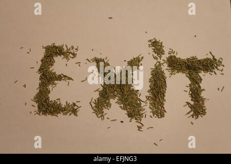 Eine Ausfahrt Schild, A beenden POSTER A WAY OF EXIT.one;road; Straße Zeichen Zeichen Beschilderung; Zeichen; Himmel, Himmel; Stop; Ausfahrt Kragen; Stop Halsbänder; s Stockfoto