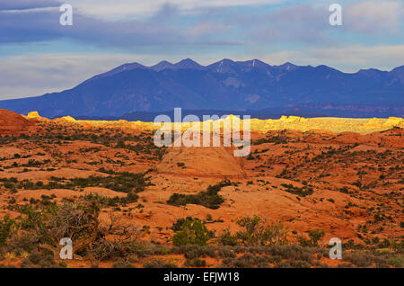 Gegend kennen als den versteinerten Dünen, im Arches National Park in den Morgen. Stockfoto