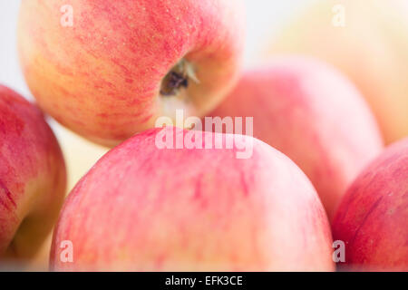 Nahaufnahme von roten Äpfeln Stockfoto