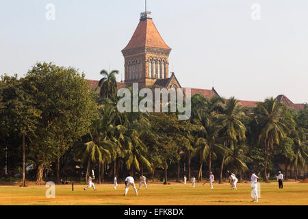 Indien, Maharashtra, Mumbai, Colaba Bezirk, Oval Maidan und Männer spielen cricket Stockfoto