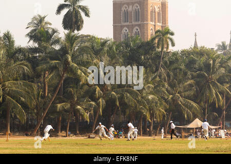 Indien, Maharashtra, Mumbai, Colaba District, Oval Maidan und Rujabi Clocktower Stockfoto