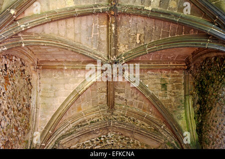 Die gewölbte Decke im zerstörten Torhaus der Karmeliter Kloster von St. Mary in Burnham Norton, Norfolk, England, UK. Stockfoto