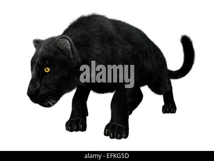 Digitale 3D Rendern eines vorsichtig Black Panthers isoliert auf weißem Hintergrund Stockfoto