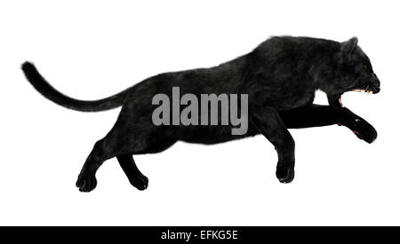 Digitale 3D Rendern einer Jagd, die Black Panther isoliert auf weißem Hintergrund Stockfoto
