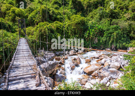 Kleine Hängebrücke in den Dschungel in der Nähe von Coroico, Bolivien Stockfoto