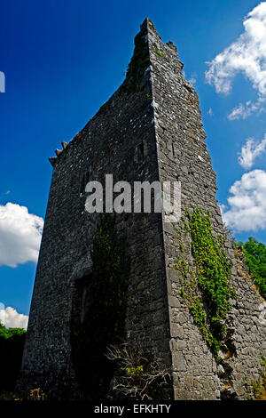 Alte verlassene irischen Schloss am Ufer des Lough Derg in Tipperary, Irland Stockfoto