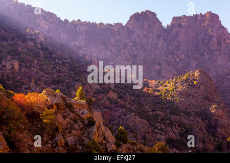 Scala de la Santa Regina en automne Haute Corse 2 B Frankreich Stockfoto