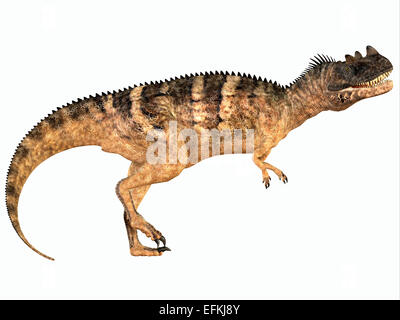 Ceratosaurus war ein fleischfressender theropoder Dinosaurier, der in Jurassic Zeitraum von Nordamerika lebte. Stockfoto