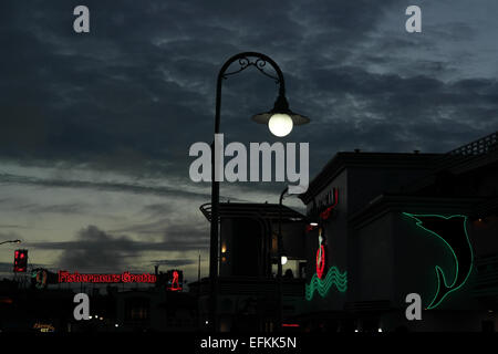 Twilight-Neon anzeigen Franziskaner Crab Restaurant Fishermans Grotto, Embarcadero N Street, Fisherman Wharf, San Francisco, USA Stockfoto