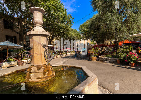 Fontaine et Place de Tourtour Région Provence Alpes Cote-D-azur 83 Var Frankreich Stockfoto