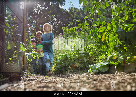 Jungs spielen Versteckspiel auf Zuteilung Stockfoto