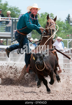 Ein Cowboy hebt die Bereitstellung wie er eine Steuern während der Rodeo am Eröffnungstag der 117. jährliche Cheyenne Frontier Days 25. Juli 2013 in Cheyenne, Wyoming Seile. Stockfoto