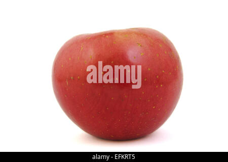 Rot-Fuji-Apfel auf weißem Hintergrund Stockfoto