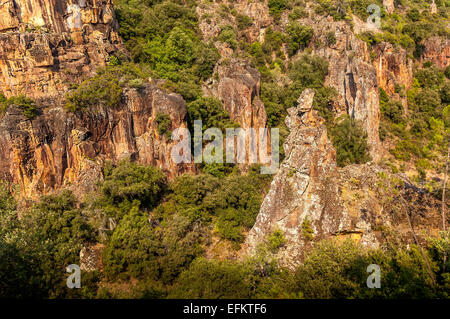 Gorges de Pennafort, Callas Draguignan, Var Frankreich 83 Stockfoto