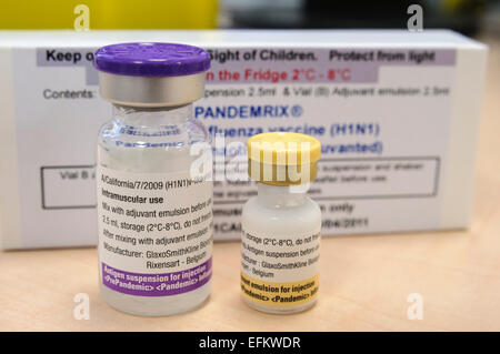 Pandemrix Ampullen, einem Anti viral Impfstoff gegen das H1N1-Influenza-Virus. Stockfoto