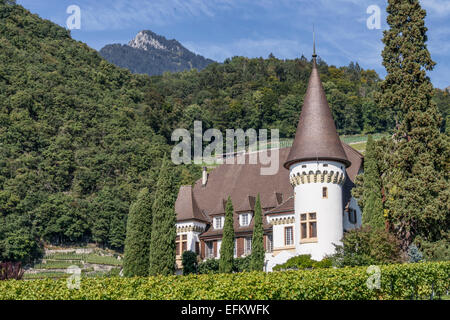 Château Maison Blanche, Weinberge, Yvorne, Region Lavaux, Genfer See, Schweizer Alpen, Schweiz Stockfoto