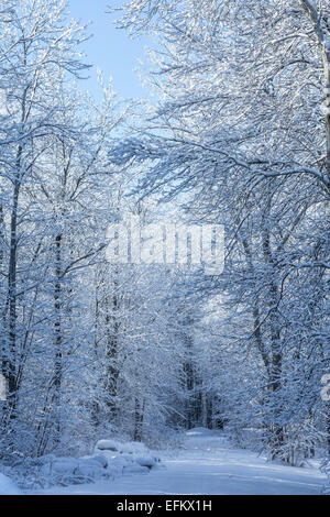Feldweg nach Gefrierender Regen, Goderich, Ontario, Kanada. Stockfoto