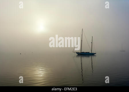 Connecticut River in Essex, Segelboote Morgennebel Stockfoto