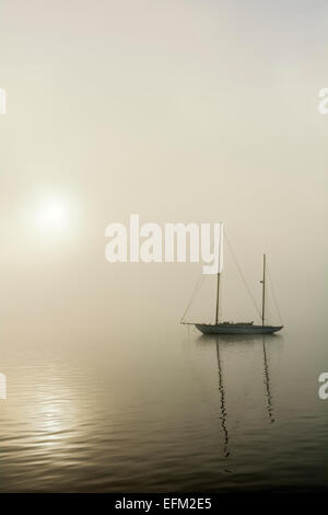 Connecticut River in Essex, Segelboot Morgennebel Stockfoto