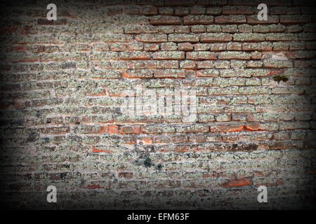 Moos auf alte Mauer, alte Festung in Rumänien Stockfoto