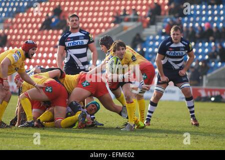 Verkauf, UK. 7. Februar 2015. LV-Cup Rugby. Sale Sharks gegen Scarlets. Llanelli Scarlets Scrum-Hälfte Rhodri Williams löscht den Ball entlang seiner Linie. Bildnachweis: Aktion Plus Sport/Alamy Live-Nachrichten Stockfoto