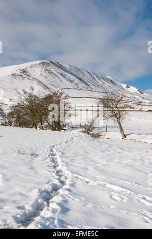 Fußspuren im Schnee im Tal Edale, Peak District, Derbyshire. Bis zu Horsehill Tor. Stockfoto