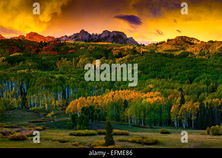 Die Anthrazit-Palette steht Wache über die bunten Herbst Aspen in Colorado entlang Kebler während des Sonnenuntergangs Stockfoto