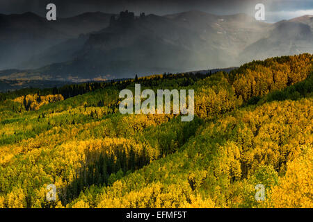 Die West Elk-Berge sind durch einen Regen von einem Gewitter bedeckt, wie die Espen vom Ohio-Pass mit ihren Herbstfarben leuchten Stockfoto