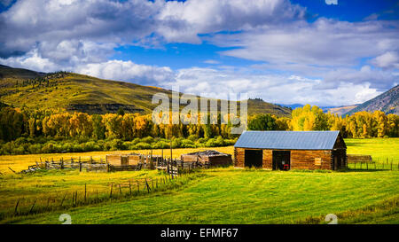 Eine alte Scheune in Crested Butte, Colorado, veranschaulicht die Vergangenheit perfekt gegen die Farben des Herbstes Stockfoto