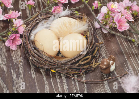 Eiern im Frühjahr blühen Nest. Stillleben mit frischen Bio-Eiern in einem Frühling Blüte nisten. Stockfoto