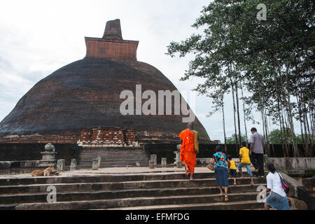 Einer der weltweit größten Backsteinbauten, Anuradhapura, Jetavanarama, Pagode, Stupa, Sri Lanka, Stockfoto