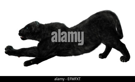 Digitale 3D Rendern eines Dehnung Black Panthers isoliert auf weißem Hintergrund Stockfoto
