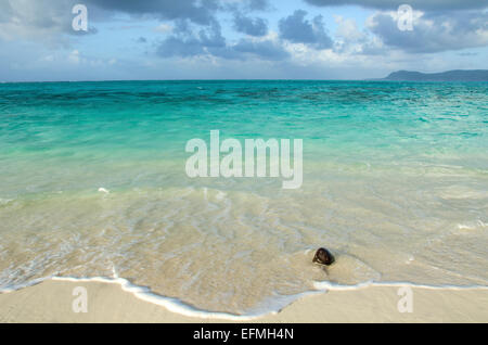 Strand auf Managaha Island, Nördliche Marianen, Mikronesien Stockfoto