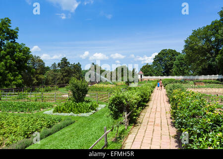 Die unteren Garten auf dem Gelände der Präsident George Washington's Plantation Villa am Mount Vernon, Fairfax County, Virginia, USA Stockfoto