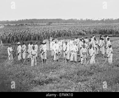 Eine südliche Kette Bande von juvenile schwarzen Jungen 1903. Stockfoto