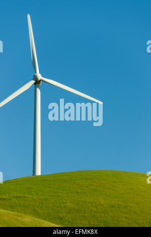 Einzelne Windenergieanlage auf dem grünen Hügel mit blauem Himmel, Kalifornien, USA Stockfoto