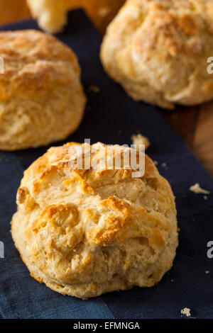 Hausgemachte Flakey Buttermilch Biscuits essfertig Stockfoto