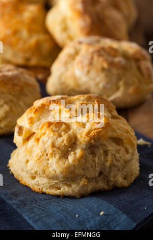 Hausgemachte Flakey Buttermilch Biscuits essfertig Stockfoto