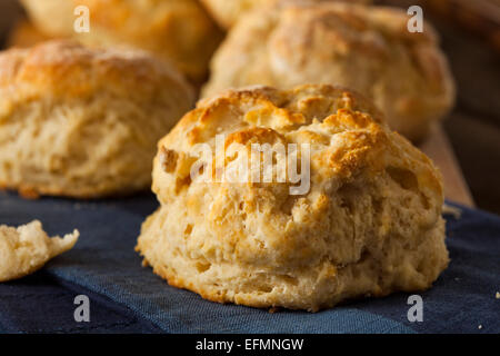 Hausgemachte Flakey Buttermilch Biscuits essfertig Stockfoto